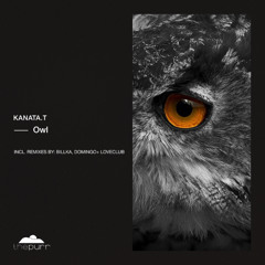 kanata.t - Owl (Billka Remix)