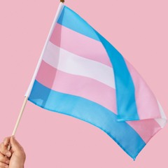 In Her Name- Brianna