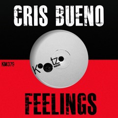 Cris Bueno, AlexxL., Ramiro Alfonso - Feelings EP