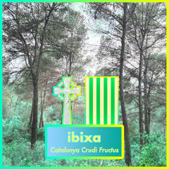 Catalunya Crudi Fructus