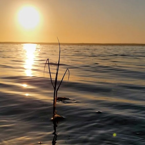 A RIPPLE THROUGH TIME