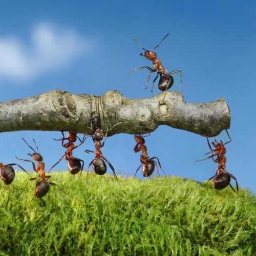 Stay Low - Mirko Borach / Stephan Lipinski / Jamie Rhind