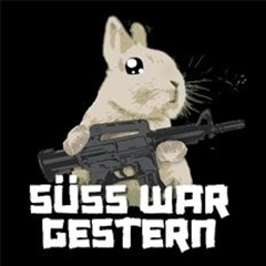 Andi de Luxe Süss.War Gestern Podcast 2023
