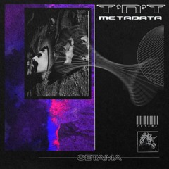 T.N.T - Metadata