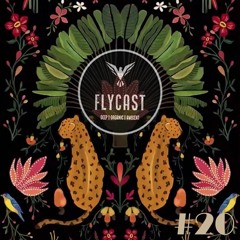 Flycast #20
