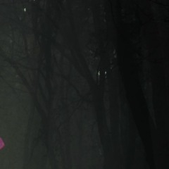 Acacia Pandorum - Severe Spectator Pt 1