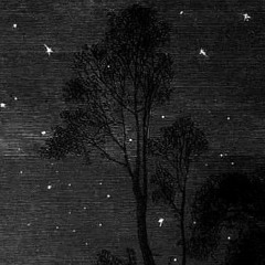 Bigbo Bungus [Instrumental]