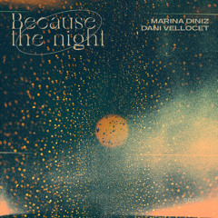 Marina Diniz , Dani Vellocet - Because The Night (EXTENDED)