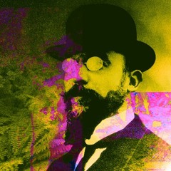 Satie's Mirror Image Test Loop II