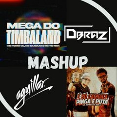 Mega Do Timbeland Vs Cachaça Pinga E Puta (DBRAZ & AGUILLAR Mashup) OUT 01 MAR