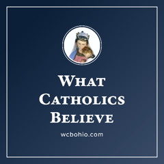The Dilemma? Bp de Castro Mayer? Trad, Inc.? Angel Saints? Pius XII! Lukewarm? Confession? Crusades?