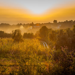 Alex Thrive-As Beautiful As My Country (Single)