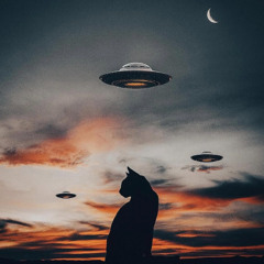 Live at The Standard Hotel Poolside 2025