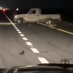 انا روحي محتاره 𖤐