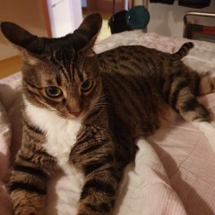 Autumn Leaves (Take 1)