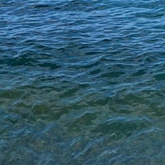 Denizi Özleyenler İçin