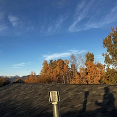 What We Choose to Save (with friends)