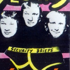 Fallen Guards(BRIEFS-1990)