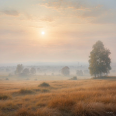 Haze of September (Original Mix)