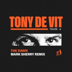 Tony De Vit - The Dawn (Mark Sherry Extended Remix) PREVIEW