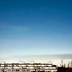 Selected | 26
