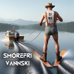 DjMIX - Smørefri Vannski