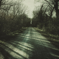 the ballad of the witches' road (lorna wu edition)