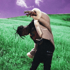 TRAVIS SCOTT type beat "Metro"
