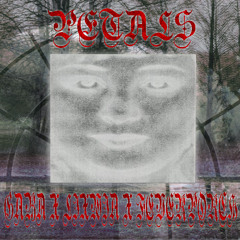 ＰＥＴＡＬＳ [ ＦＥＡＴ.  ＧＡＢＡ  &  ＦＥＶＥＲＰＯＲＣＨ ]