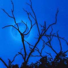 Freduian (Glaive Cover)