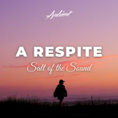 Salt Of The Sound - A Respite