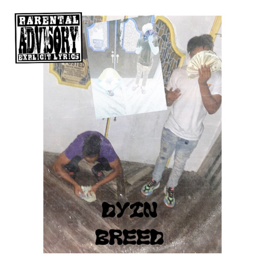 DYING BREED 24xCmac