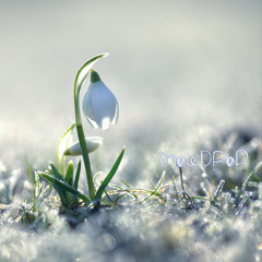 Snowdrop
