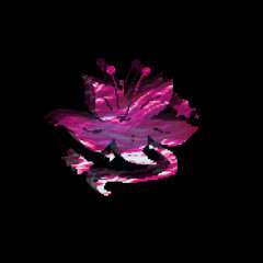 December had a Heart