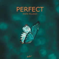 Walle, Ruuben - Perfect