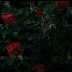 lullaby! / nothin nice (prod. cutanna)