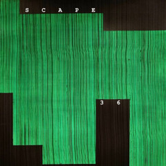 SCAPE 36