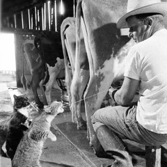 Nonstop 2021 Chất Kịch Độc - Chân Không Chạm Đất⚔⚔