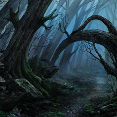 They Wait in the Woods