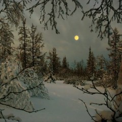 Wolves and the Moon