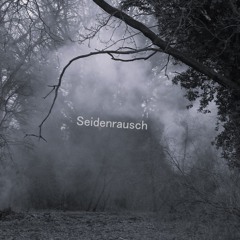 10.09.2026 Seidenrausch - Free Time [FRT015]
