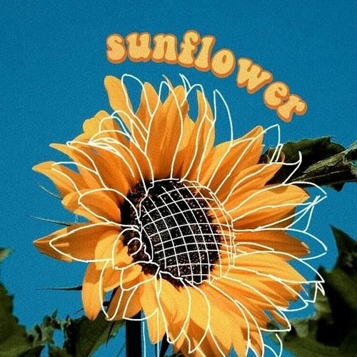 Stream sunflower, vol. 6 harry styles (slowed n reverb) by Ashlee