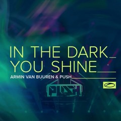 Armin Van Buuren & Push - In The Dark You Shine [Radio Cut]