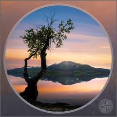 Indefinite Pitch PREMIERES. Atlas - Gaian Dreams (Solarythm Remix) [Navigare Audio]