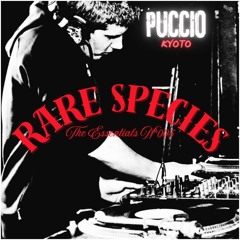Puccio - Kyoto EP - Rare Species rec. ( only bandcamp )