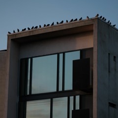 OFF THE BLOC Competition Entry