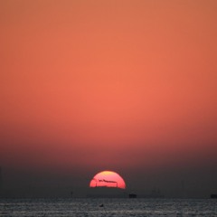 I Can't Stop The Loneliness