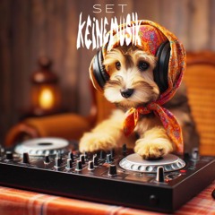 SET KEINEMUSIK SHORT by @ogomesfe