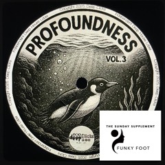 The Sunday Supplement 55 - 23-08-25 - Profoundness Vol.3