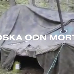 Alokas Nönnönnöö - Koska Oon Mortti